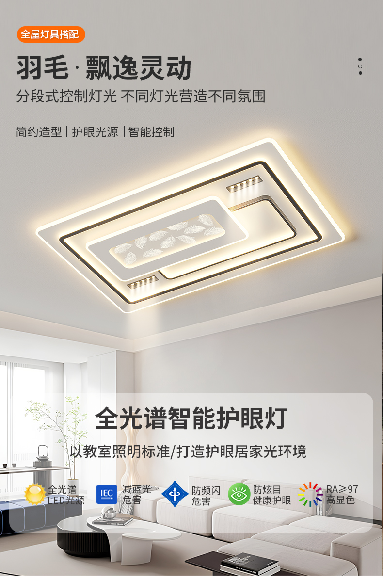详情_01.jpg